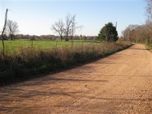 Looking South Along Wire Road at Dunagin's Farm